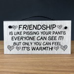 Friendship Gift Wood Sign Funny Best Friend Sign Gift For Women