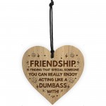 Funny FRIENDSHIP SIGN Hanging Wood Heart Birthday Christmas