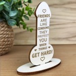 Funny Rude Friendship Plaque Engraved Novelty Birthday Christmas