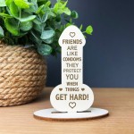 Funny Rude Friendship Plaque Engraved Novelty Birthday Christmas