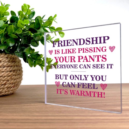 Best Friend Plaque Friendship Gift Novelty Birthday Christmas