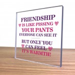 Best Friend Plaque Friendship Gift Novelty Birthday Christmas