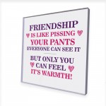 Best Friend Plaque Friendship Gift Novelty Birthday Christmas