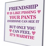 Best Friend Plaque Friendship Gift Novelty Birthday Christmas