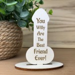 FUNNY Best Friend Gift Engraved Plaque Friendship Christmas