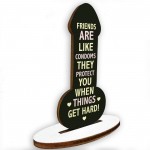 Funny Gift For Friend Birthday Plaque Novelty Friendship Plaque