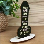 Funny Gift For Friend Birthday Plaque Novelty Friendship Plaque