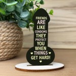 Funny Gift For Friend Birthday Plaque Novelty Friendship Plaque