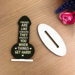 Funny Gift For Friend Birthday Plaque Novelty Friendship Plaque