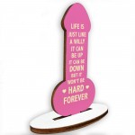 Motivational Plaque Funny Friendship Plaque Novelty Birthday