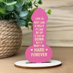 Motivational Plaque Funny Friendship Plaque Novelty Birthday