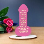 Motivational Plaque Funny Friendship Plaque Novelty Birthday