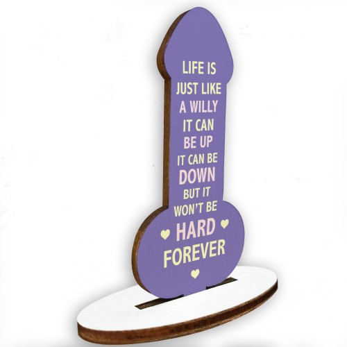 Funny Friendship Plaque Wood Plaque Novelty Birthday Gift