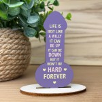 Funny Friendship Plaque Wood Plaque Novelty Birthday Gift