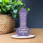 Funny Friendship Plaque Wood Plaque Novelty Birthday Gift