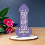 Funny Friendship Plaque Wood Plaque Novelty Birthday Gift