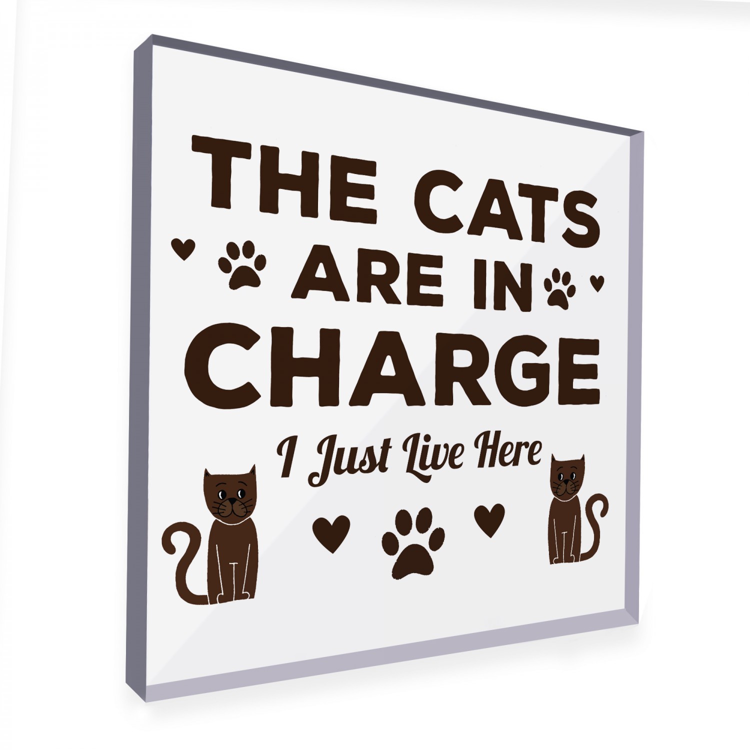 Funny gifts for cat 2024 lovers