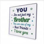 Novelty Brother Gift For Birthday Gift Acrylic Plaque Friendship