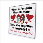 Funny Anniversary Gift Wedding Anniversary Gift Valentines Gift