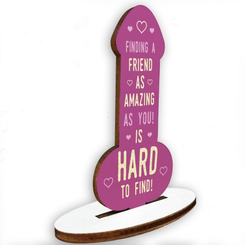 Funny Rude Friendship Plaque Novelty Plaque Birthday Friend Joke