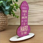 Funny Rude Friendship Plaque Novelty Plaque Birthday Friend Joke