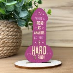 Funny Rude Friendship Plaque Novelty Plaque Birthday Friend Joke