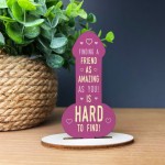 Funny Rude Friendship Plaque Novelty Plaque Birthday Friend Joke