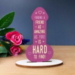 Funny Rude Friendship Plaque Novelty Plaque Birthday Friend Joke