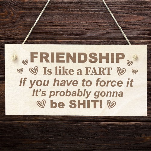 BEST FRIEND PLAQUE Funny Friendship Sign Gift For Him Her