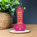 Funny Friendship Plaque Joke Novelty Birthday Gift For Friend