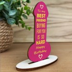 Funny Friendship Plaque Joke Novelty Birthday Gift For Friend