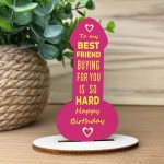 Funny Friendship Plaque Joke Novelty Birthday Gift For Friend