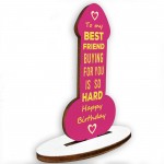 Funny Friendship Plaque Joke Novelty Birthday Gift For Friend