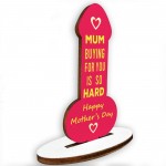 Funny Mothers Day Gifts For Mum Plaque Mothers Day Gift Idea