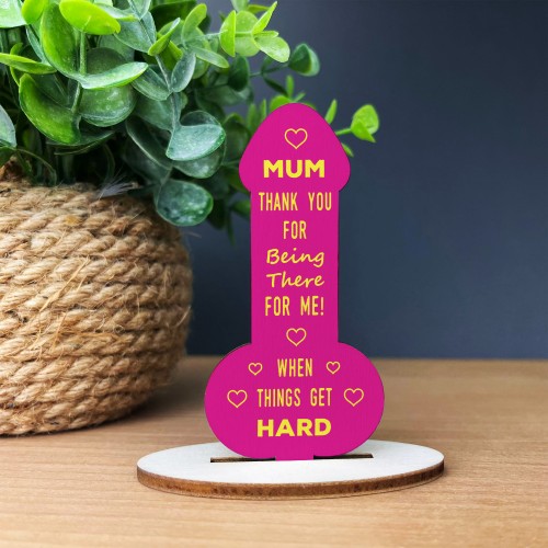 Funny Gift For Mothers Day Birthday Gift Wooden Plaque Mum Gift