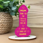 Funny Gift For Mothers Day Birthday Gift Wooden Plaque Mum Gift