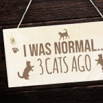 Cat Signs And Plaques Engraved Hanging Wood Sign Cat Signs