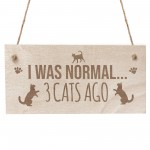 Cat Signs And Plaques Engraved Hanging Wood Sign Cat Signs