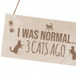 Cat Signs And Plaques Engraved Hanging Wood Sign Cat Signs