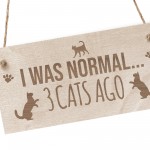 Cat Signs And Plaques Engraved Hanging Wood Sign Cat Signs