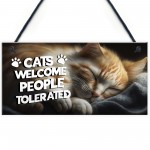 Funny Cat Gifts For Crazy Cat Lady Cat Lover Gifts Hanging Sign