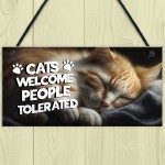 Funny Cat Gifts For Crazy Cat Lady Cat Lover Gifts Hanging Sign