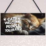 Funny Cat Gifts For Crazy Cat Lady Cat Lover Gifts Hanging Sign