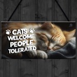 Funny Cat Gifts For Crazy Cat Lady Cat Lover Gifts Hanging Sign