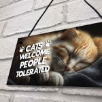 Funny Cat Gifts For Crazy Cat Lady Cat Lover Gifts Hanging Sign