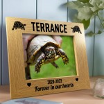 Tortoise Photo Frame Personalised Memorial Gift Tortoise Gifts