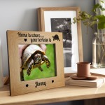 Personalised Photo Frame For Tortoise Pet Gift Tortoise Gifts