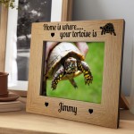 Personalised Photo Frame For Tortoise Pet Gift Tortoise Gifts