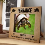 Personalised Tortoise Turtle Memorial Photo Frame Gift for Pet