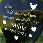 PERSONALISED Chicken Memorial Outdoor Garden Grave Stake